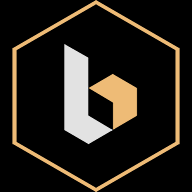 BASIS logo
